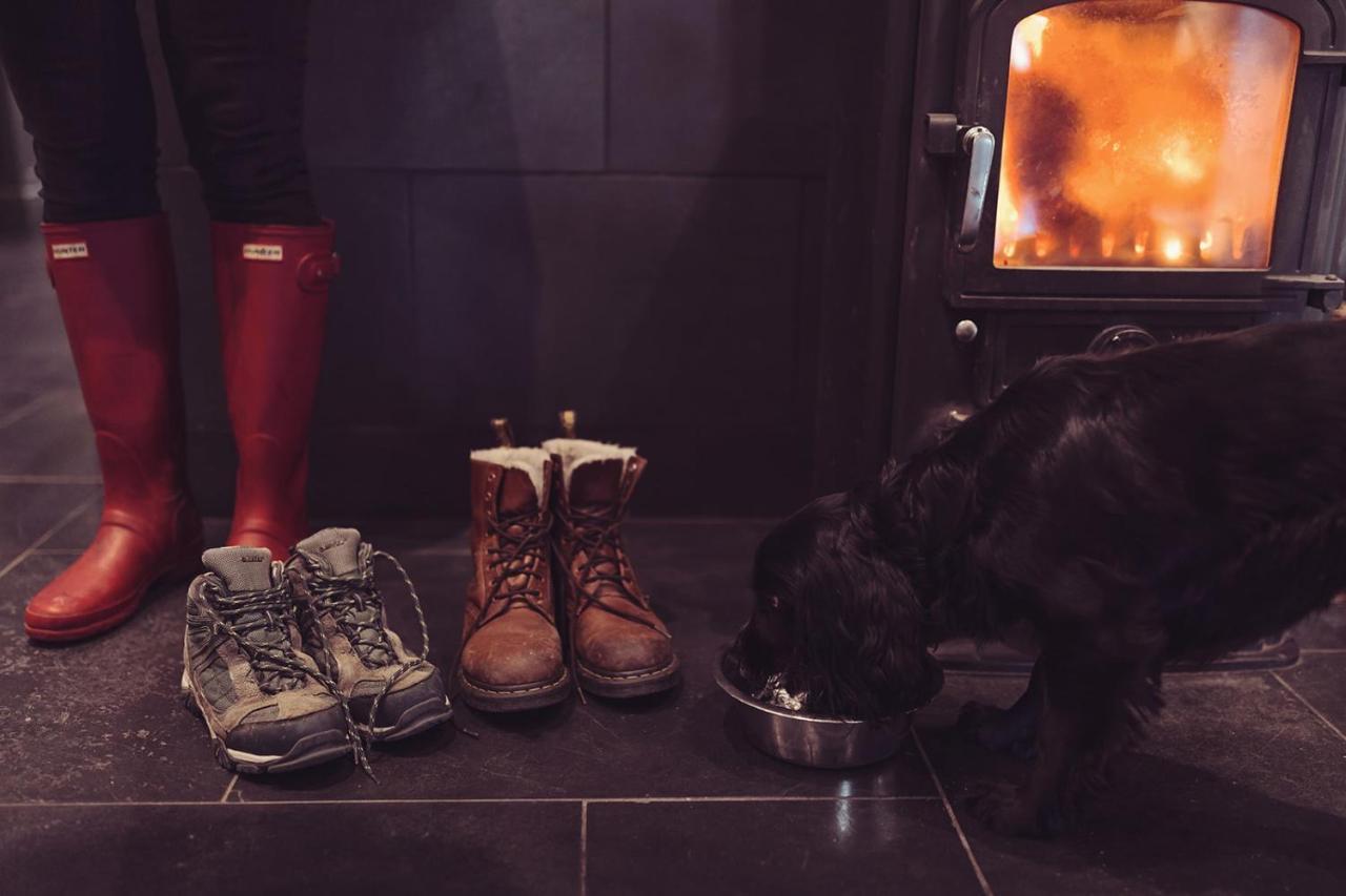 Longlands Inn & Cottages Карнфорт Экстерьер фото A dog in front of a wood burning stove